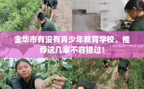 金华市有没有青少年教育学校，推荐这几家不容错过！