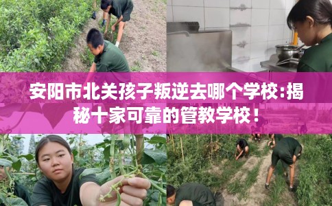 安阳市北关孩子叛逆去哪个学校:揭秘十家可靠的管教学校！
