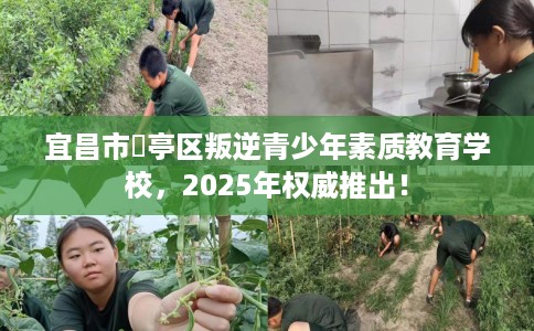 宜昌市猇亭区叛逆青少年素质教育学校,2025年权威推出! 宜昌市猇亭区叛逆青少年素质教育学校,2025年权威推出!