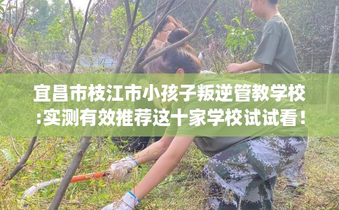 宜昌市枝江市小孩子叛逆管教学校:实测有效推荐这十家学校试试看! 宜昌市枝江市小孩子叛逆管教学校:实测有效推荐这十家学校试试看!
