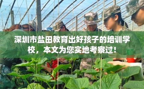 深圳市盐田教育出好孩子的培训学校,本文为您实地考察过! 深圳市盐田教育出好孩子的培训学校,本文为您实地考察过!