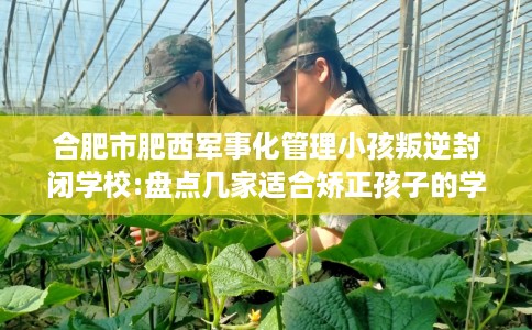 合肥市肥西军事化管理小孩叛逆封闭学校:盘点几家适合矫正孩子的学校! 合肥市肥西军事化管理小孩叛逆封闭学校:盘点几家适合矫正孩子的学校!