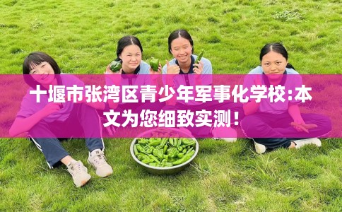十堰市张湾区青少年军事化学校:本文为您细致实测！