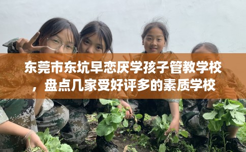 东莞市东坑早恋厌学孩子管教学校，盘点几家受好评多的素质学校