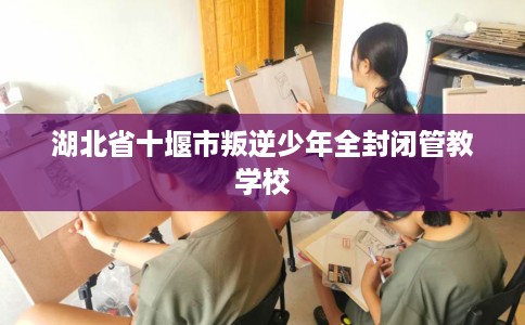 湖北省十堰市叛逆少年全封闭管教学校 湖北省十堰市叛逆少年全封闭管教学校