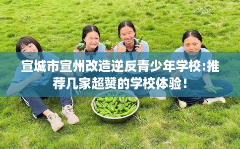 宣城市宣州改造逆反青少年学校:推荐几家超赞的学校体验! 宣城市宣州改造逆反青少年学校:推荐几家超赞的学校体验!