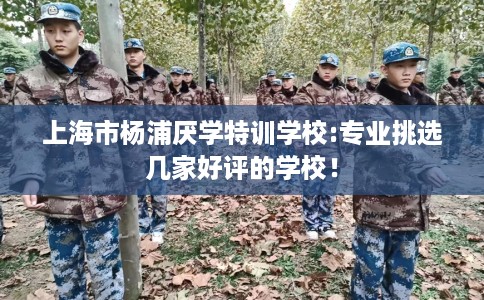 上海市杨浦厌学特训学校:专业挑选几家好评的学校! 上海市杨浦厌学特训学校:专业挑选几家好评的学校!