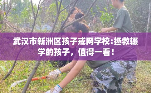 武汉市新洲区孩子戒网学校:拯救辍学的孩子，值得一看！