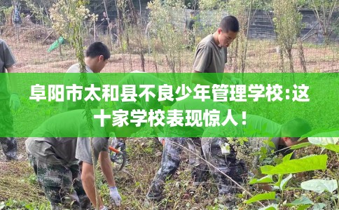 阜阳市太和县不良少年管理学校:这十家学校表现惊人! 阜阳市太和县不良少年管理学校:这十家学校表现惊人!