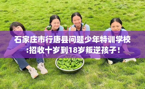 石家庄市行唐县问题少年特训学校:招收十岁到18岁叛逆孩子！