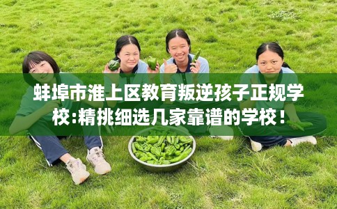 蚌埠市淮上区教育叛逆孩子正规学校:精挑细选几家靠谱的学校! 蚌埠市淮上区教育叛逆孩子正规学校:精挑细选几家靠谱的学校!