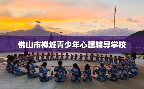 佛山市禅城青少年心理辅导学校