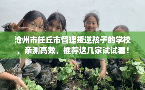 沧州市任丘市管理叛逆孩子的学校，亲测高效，推荐这几家试试看！