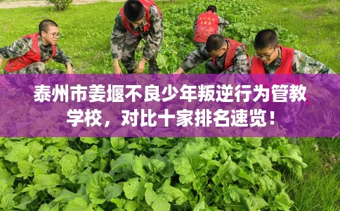 泰州市姜堰不良少年叛逆行为管教学校,对比十家排名速览! 泰州市姜堰不良少年叛逆行为管教学校,对比十家排名速览!