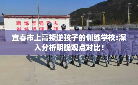 宜春市上高叛逆孩子的训练学校:深入分析明确观点对比！