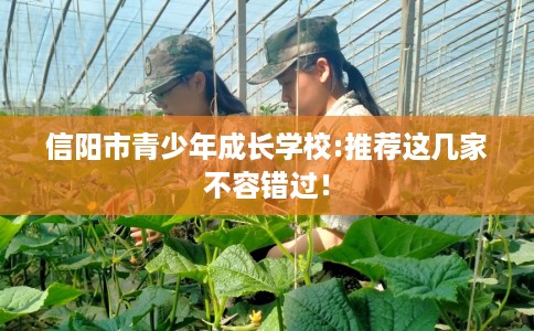 信阳市青少年成长学校:推荐这几家不容错过！