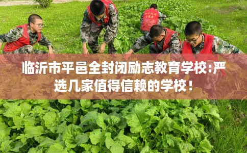 临沂市平邑全封闭励志教育学校:严选几家值得信赖的学校！
