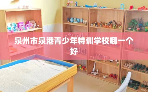 泉州市泉港青少年特训学校哪一个好