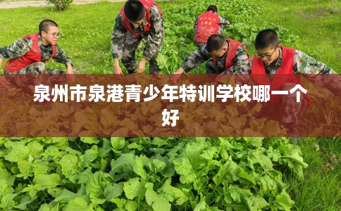 泉州市泉港青少年特训学校哪一个好