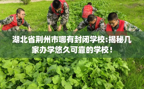 湖北省荆州市哪有封闭学校:揭秘几家办学悠久可靠的学校！