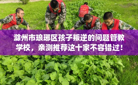 滁州市琅琊区孩子叛逆的问题管教学校,亲测推荐这十家不容错过! 滁州市琅琊区孩子叛逆的问题管教学校,亲测推荐这十家不容错过!