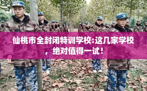 仙桃市全封闭特训学校:这几家学校，绝对值得一试！