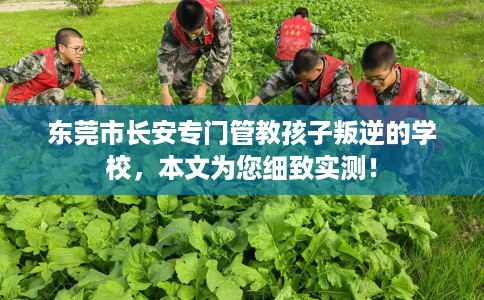 东莞市长安专门管教孩子叛逆的学校，本文为您细致实测！