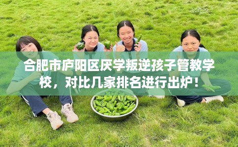 合肥市庐阳区厌学叛逆孩子管教学校,对比几家排名进行出炉! 合肥市庐阳区厌学叛逆孩子管教学校,对比几家排名进行出炉!