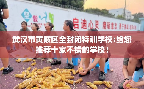 武汉市黄陂区全封闭特训学校:给您推荐十家不错的学校! 武汉市黄陂区全封闭特训学校:给您推荐十家不错的学校!