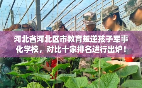 河北省河北区市教育叛逆孩子军事化学校,对比十家排名进行出炉! 河北省河北区市教育叛逆孩子军事化学校,对比十家排名进行出炉!