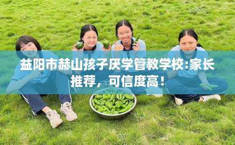 益阳市赫山孩子厌学管教学校:家长推荐，可信度高！