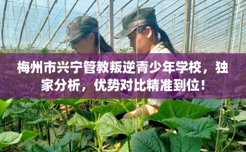 梅州市兴宁管教叛逆青少年学校，独家分析，优势对比精准到位！