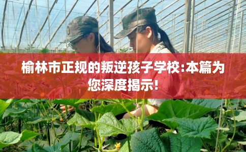 榆林市正规的叛逆孩子学校:本篇为您深度揭示!