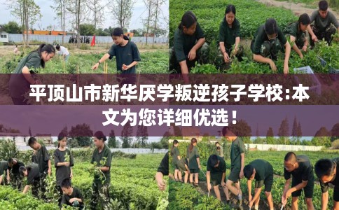 平顶山市新华厌学叛逆孩子学校:本文为您详细优选! 平顶山市新华厌学叛逆孩子学校:本文为您详细优选!