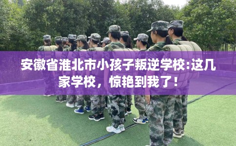 安徽省淮北市小孩子叛逆学校:这几家学校，惊艳到我了！