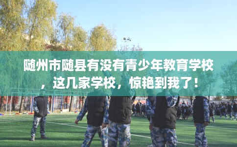 随州市随县有没有青少年教育学校，这几家学校，惊艳到我了！