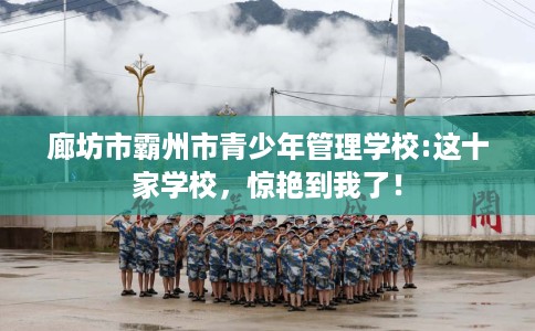 廊坊市霸州市青少年管理学校:这十家学校，惊艳到我了！