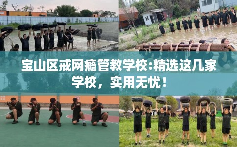 宝山区戒网瘾管教学校:精选这几家学校，实用无忧！