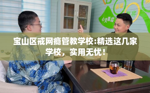 宝山区戒网瘾管教学校:精选这几家学校，实用无忧！