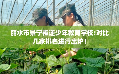 丽水市景宁叛逆少年教育学校:对比几家排名进行出炉！
