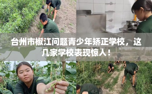 台州市椒江问题青少年矫正学校,这几家学校表现惊人! 台州市椒江问题青少年矫正学校,这几家学校表现惊人!