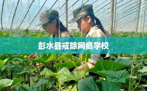 彭水县戒除网瘾学校 彭水县戒除网瘾学校