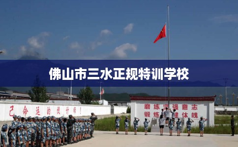 佛山市三水正规特训学校 佛山市三水正规特训学校