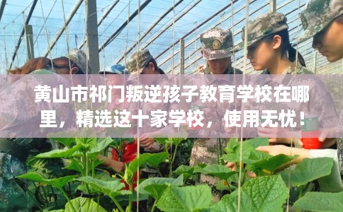 黄山市祁门叛逆孩子教育学校在哪里,精选这十家学校,使用无忧! 黄山市祁门叛逆孩子教育学校在哪里,精选这十家学校,使用无忧!