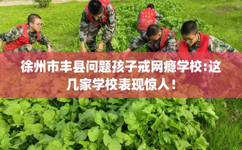 徐州市丰县问题孩子戒网瘾学校:这几家学校表现惊人！
