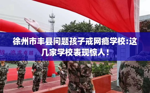 徐州市丰县问题孩子戒网瘾学校:这几家学校表现惊人！