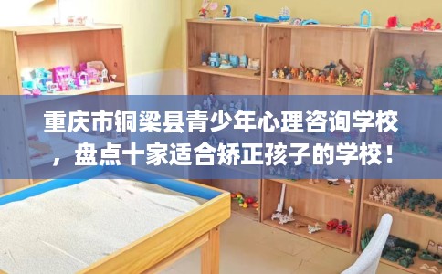重庆市铜梁县青少年心理咨询学校，盘点十家适合矫正孩子的学校！