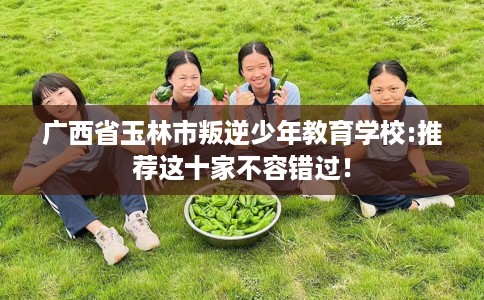 广西省玉林市叛逆少年教育学校:推荐这十家不容错过! 广西省玉林市叛逆少年教育学校:推荐这十家不容错过!