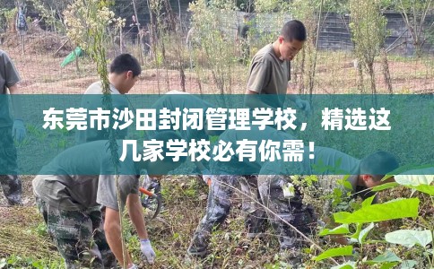 东莞市沙田封闭管理学校，精选这几家学校必有你需！