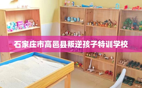 石家庄市高邑县叛逆孩子特训学校